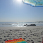 Sandy Bay on a Winter's day